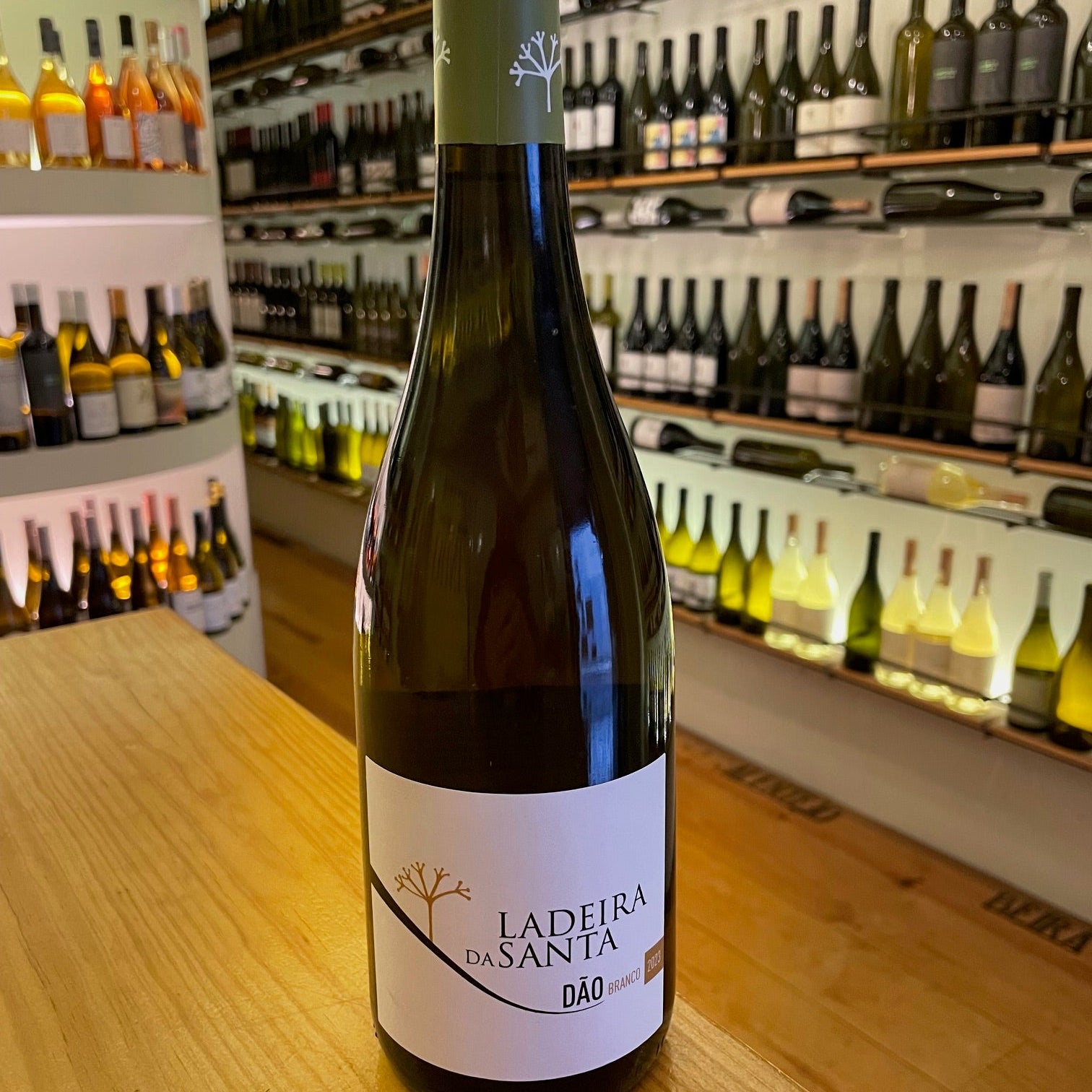 Ladeira da Santa Branco Colheita 2023 Dão - Mercearia do Vinho