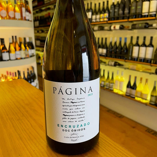 Página encruzado 2022 Lisboa