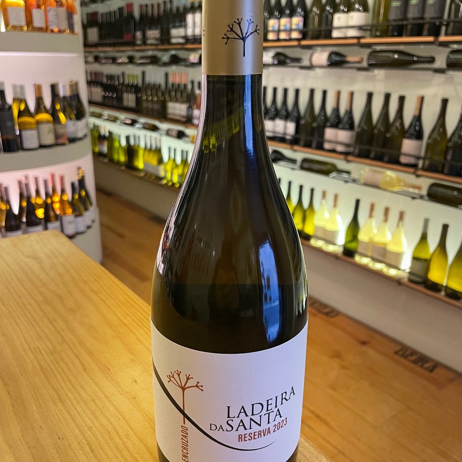 Ladeira da Santa Reserva Branco Encruzado 2023 Dão - Mercearia do Vinho
