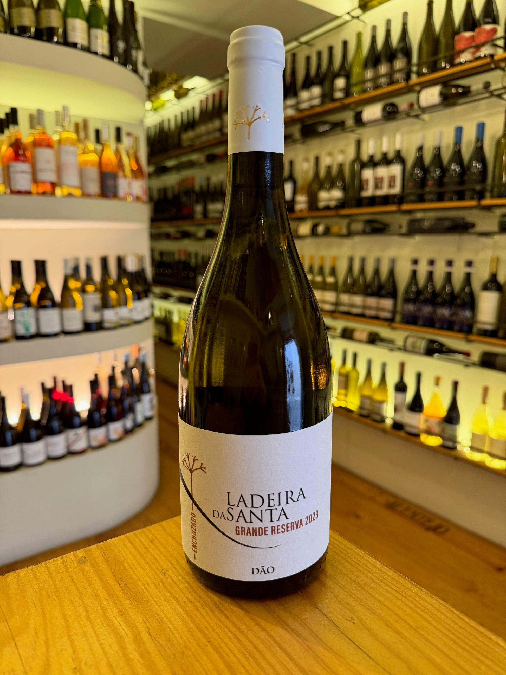 Ladeira da Santa Grande Reserva Encruzado 2023 Dão - Mercearia do Vinho