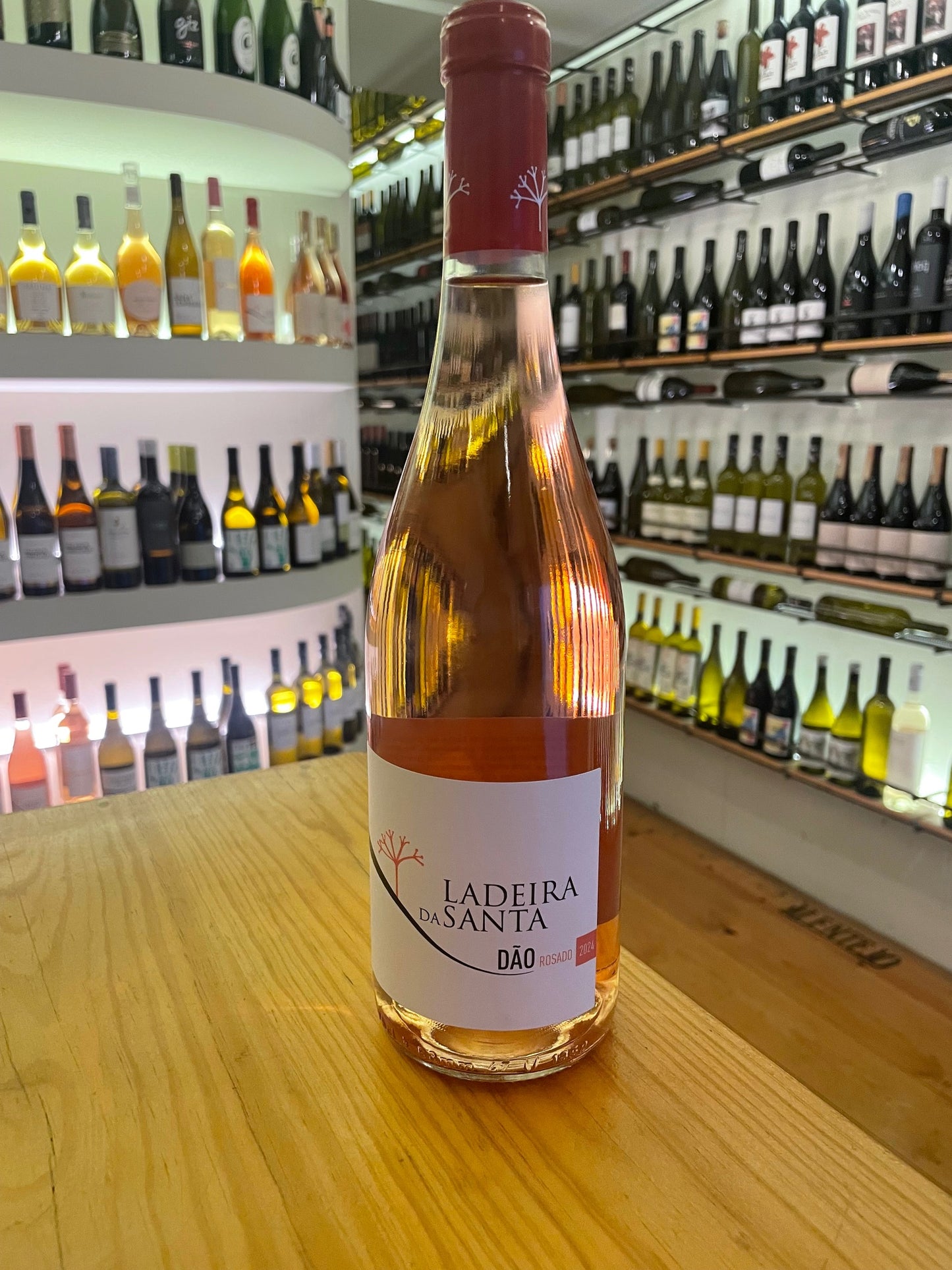 Ladeira da Santa rosado 2024 Dão - Mercearia do Vinho