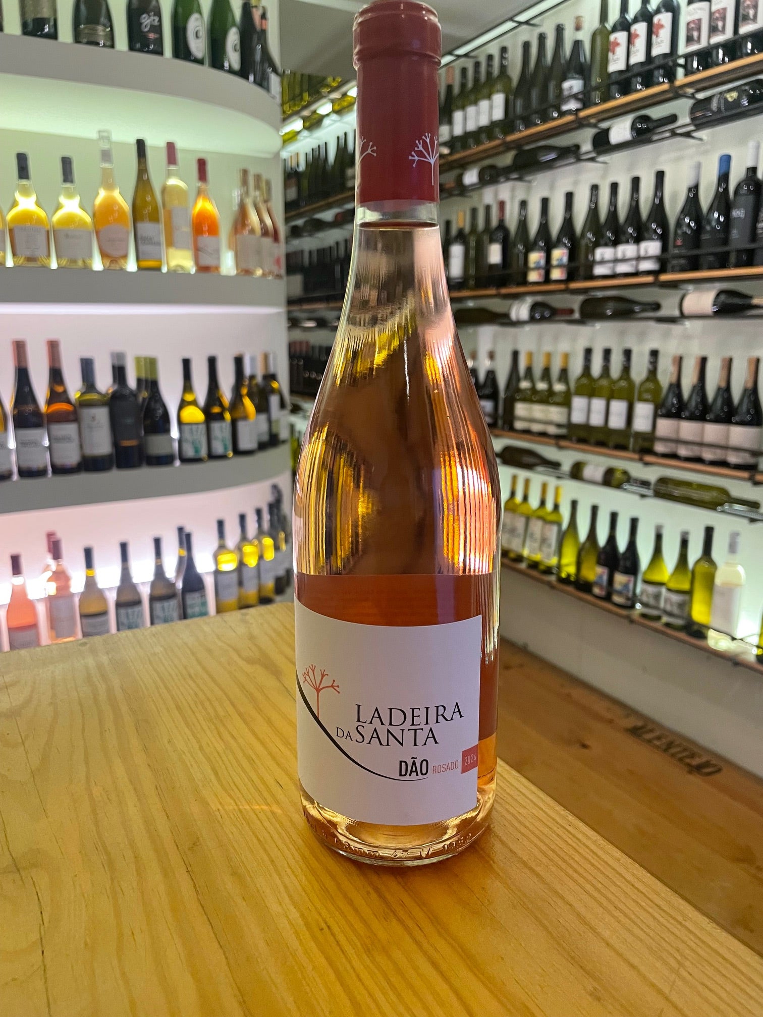 Ladeira da Santa rosado 2024 Dão - Mercearia do Vinho