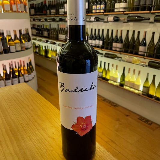 Badula Tinto 2020 Tejo - Mercearia do Vinho